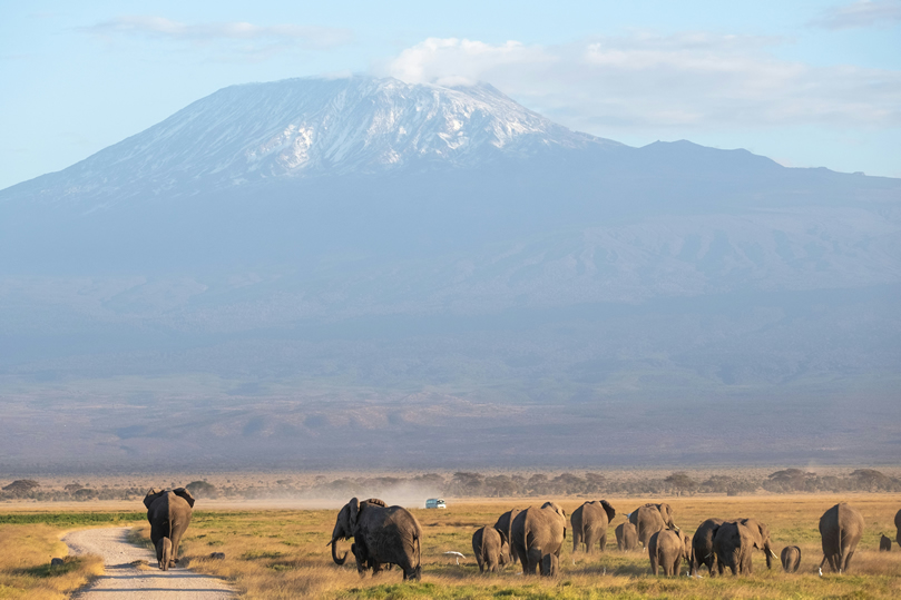 Day 3 - Tsavo West / Coast – Departure / onward connection