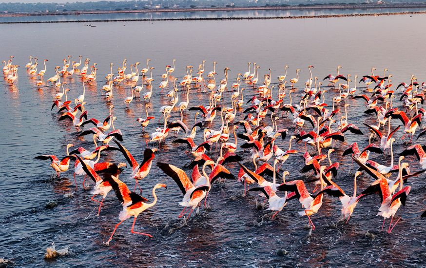 Day 3 - Lake Nakuru – Game viewing and exploration