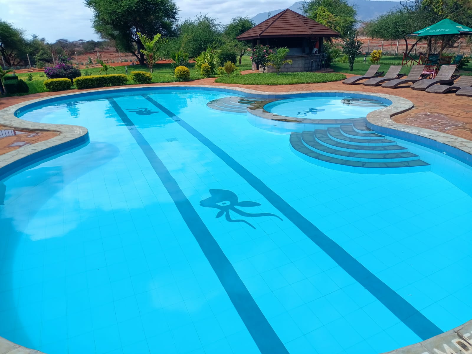 Day 3 - Ziwani – Game viewing and exploration