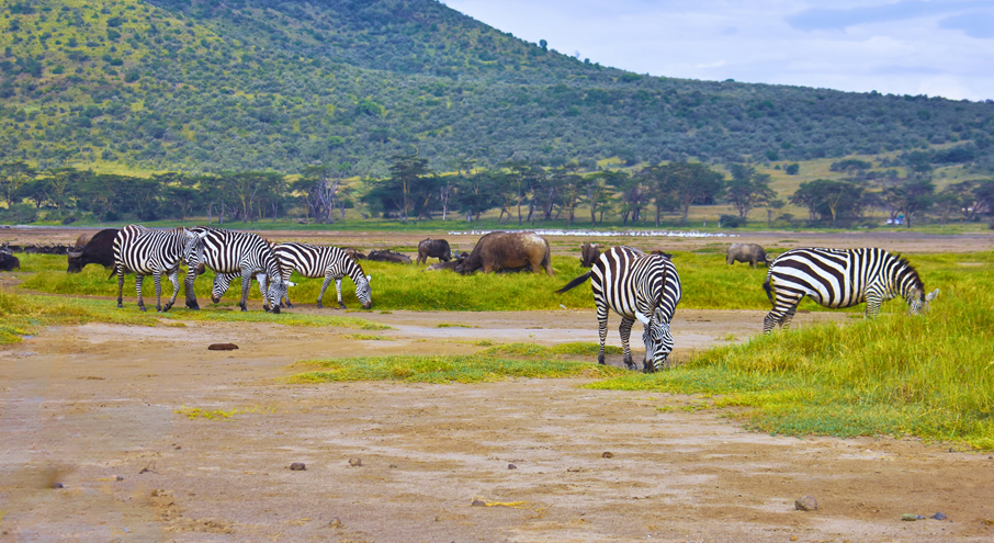 Day 4 - Lake Bogoria – Game viewing and exploration