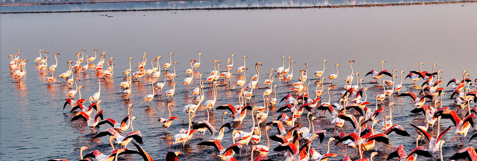Lake Naivasha safari landscape