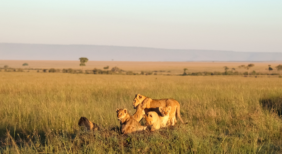 Mount Kenya Region safari landscape