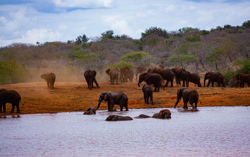 Tsavo East National Park safari landscape