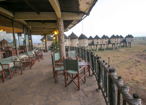 2 Days Saltlick Wildlife Safari - Taita Hills Game Sanctuary