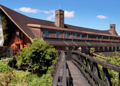 The Ark Hotel Aberdare – Unique Tree Lodge in Kenya