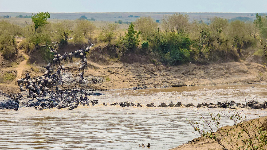 7 Days Samburu, Aberdare, Lake Nakuru & Maasai Mara Safari_4